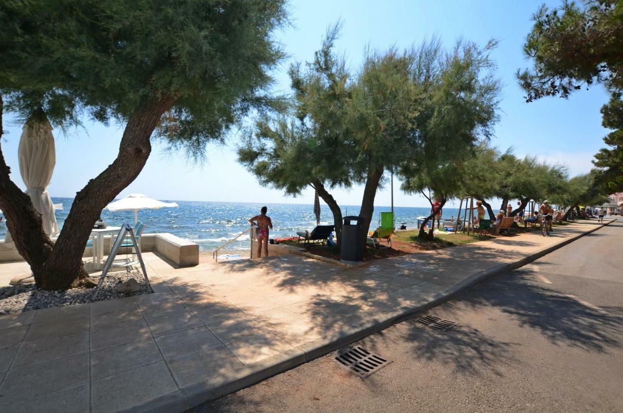 Apartment Auretta Novigrad Istria Eksteriør bilde