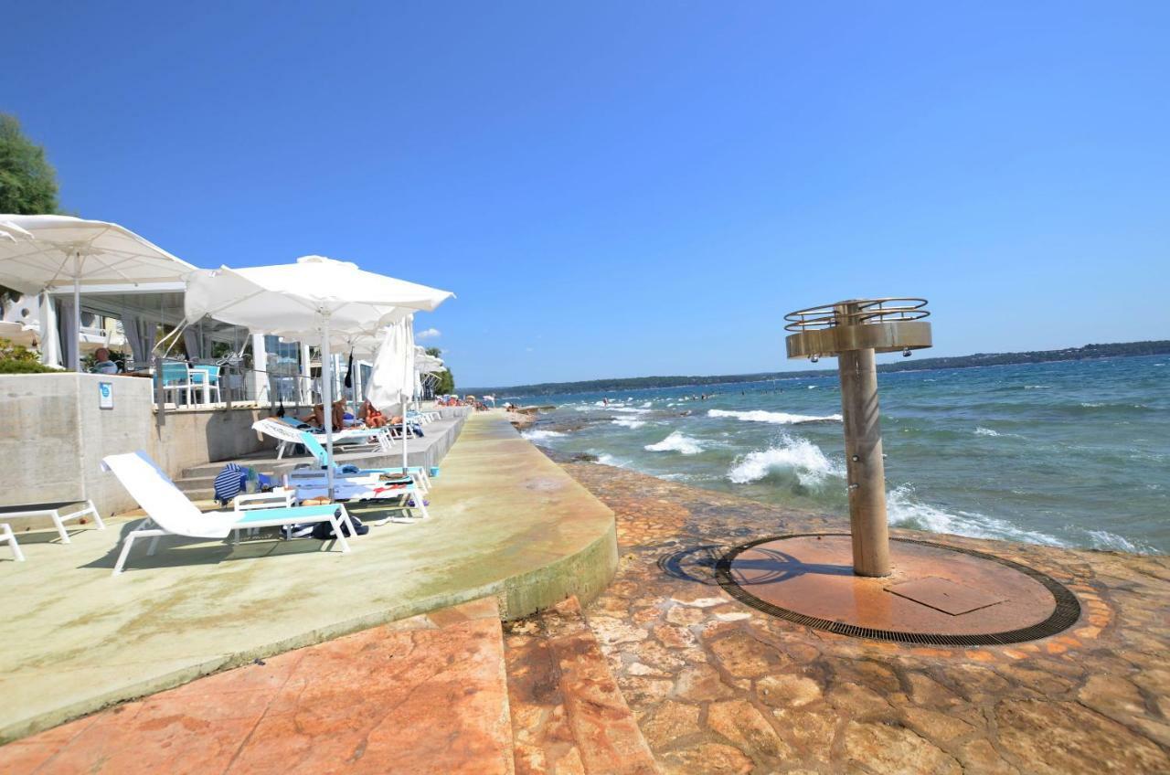 Apartment Auretta Novigrad Istria Eksteriør bilde